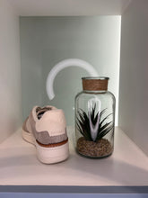 Charger l'image dans la galerie, Baskets Masters Court en cuir et daim - Passadena Blois